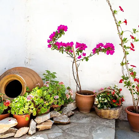 בית נופש Cozy Traditional House In Thassos, Kallirachi *