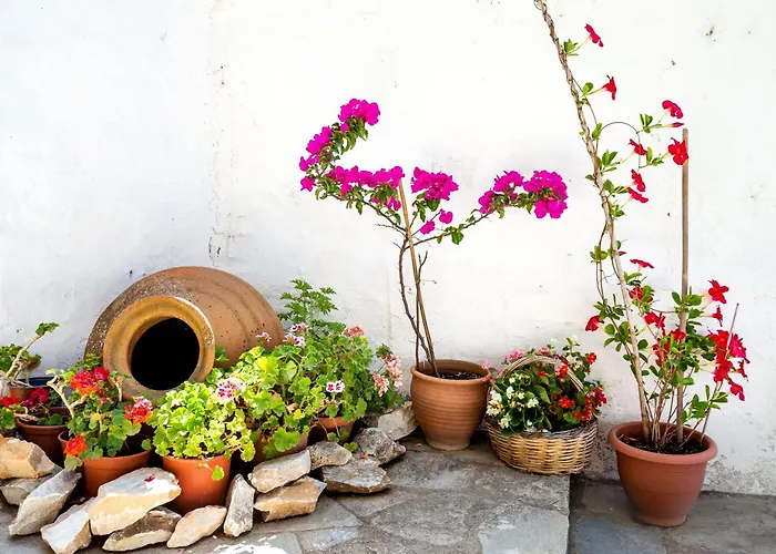 度假居 Cozy Traditional House In Thassos, Kallirachi *